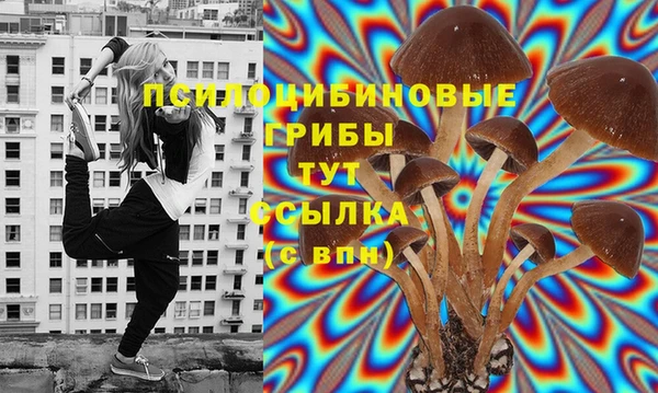 мет Алексин